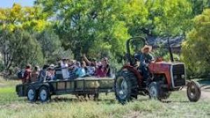 Featured image for Santa Fe Harvest Festival.