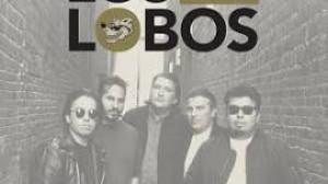 Featured image for LOS LOBOS - 50th Anniversary Tour.