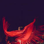 Featured image for Casa Flamenca Fall Tablao Season Continues.