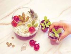 Featured image for Make Your Own Terrarium.